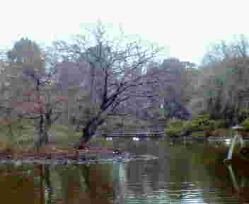 arisugawa_park.jpg