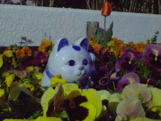 image/diarybyo-2006-04-12T19:41:36-1.jpg